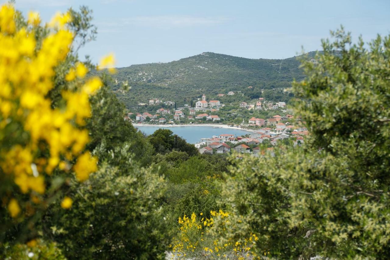 Apartament Apartman Paula 1 Vinišće Zewnętrze zdjęcie